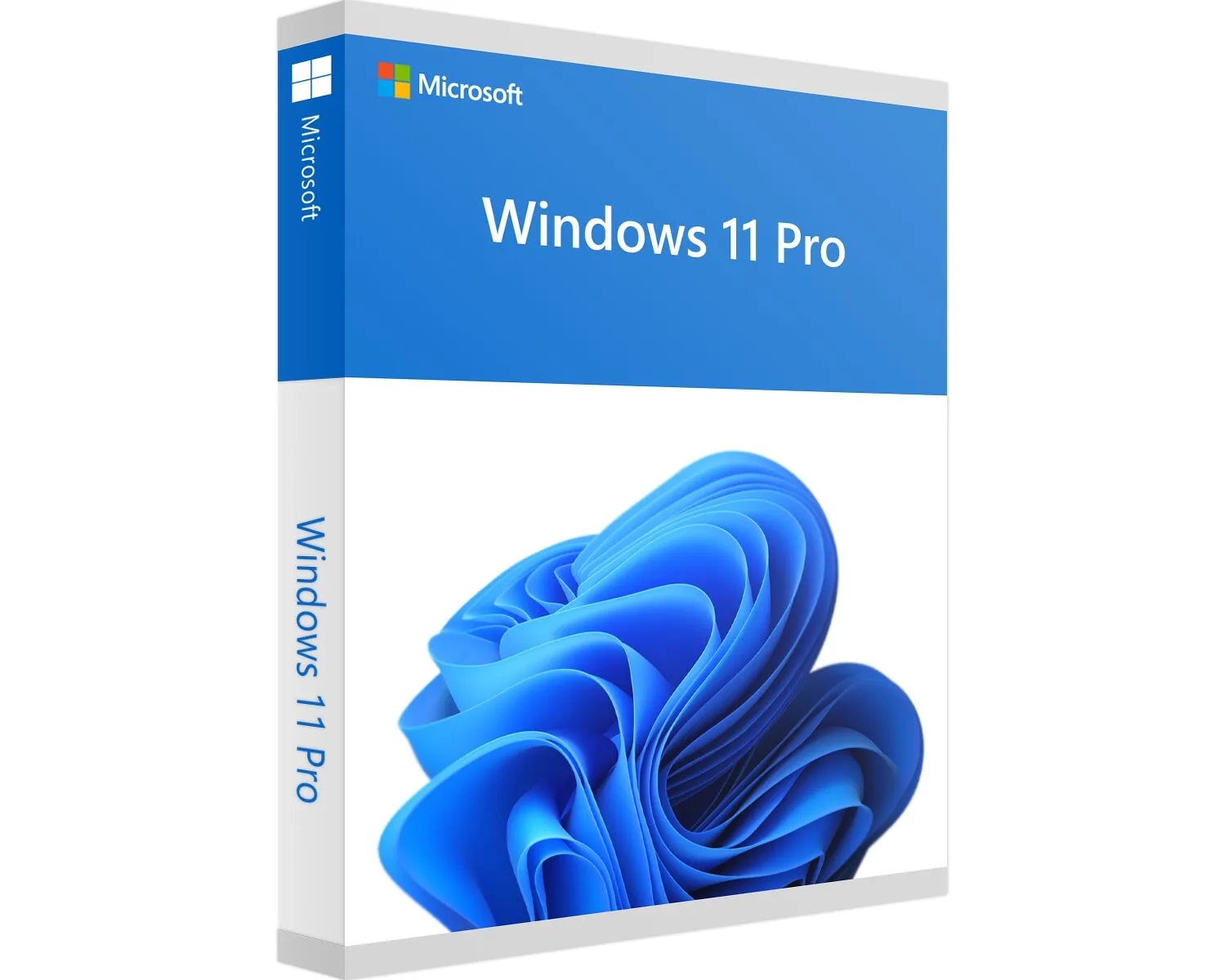 Microsoft Windows 11 Pro OEM License
